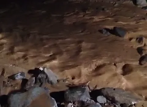 هطول أمطار غزيرة على مراكز العيص وينبع النخل.. والمدني يحذر