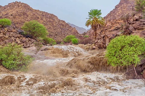 شاهد بالتصوير الجوي.. أمطار غزيرة تسيل أودية ديار "الثعل" جنوب الطائف