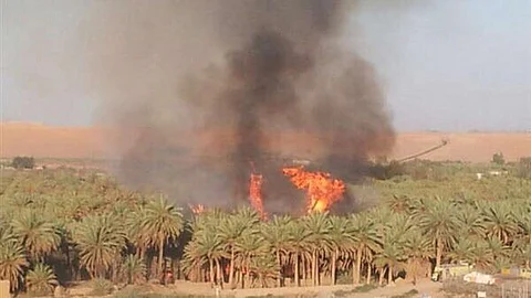 خطباء الجمعة بدومة الجندل عن "حرق مزارع النخيل": أحداث دخيلة ومؤسفة