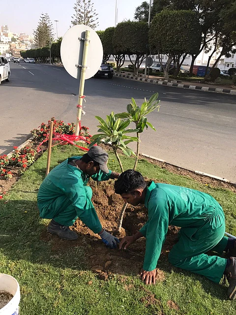 أمانة عسير جهزت عددًا كبيرًا من الحدائق لعيد الأضحى