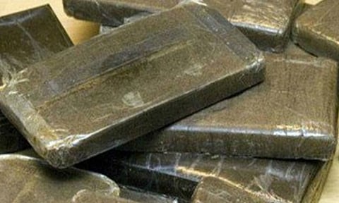إحباط تهريب أكثر من ٦٨٦ كيلو حشيش والإطاحة بـ٢٥ مهرباً
