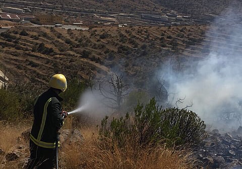 "مدني بللسمر" يخمد حريقًا بالمدرجات الزراعية بجبل حظوة