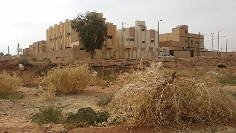 تفاعلاً مع "سبق".. مدني شقراء يوجه بمعالجة مخلفات وادي "الغدير"