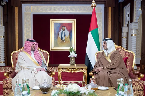 أبو ظبي.. وزير الداخلية يلتقي منصور بن زايد آل نهيان