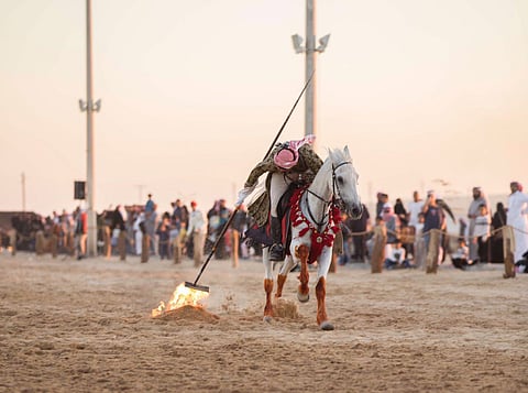 تناغم بين عروض الخيالة والإبل وبين أصوت الحداء والقصائد في "سفاري بقيق"
