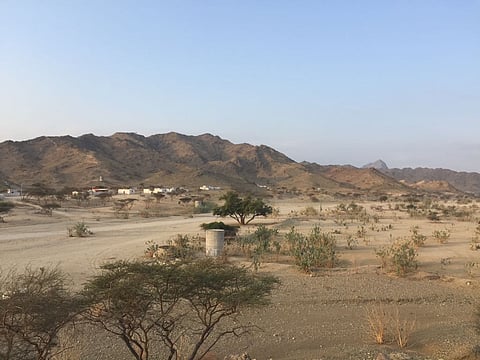 اللوحة شاهدة..47 مليوناً تتبخر في طريق "فِراع الليث" والتعثر سيد الموقف