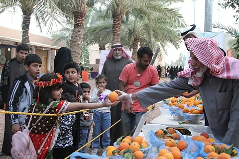 شاهد .. حبات البرتقال تتمايل في الجنادرية .. تسع سنوات عجاف وتسع "سِمان"