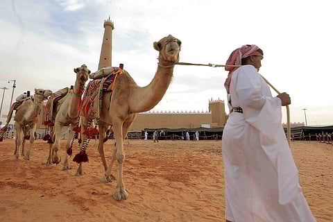 بالصور.. "سبق" ترصد 100 صورة تحكي الأصالة والتراث بالجنادرية 32