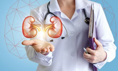 عش صحيحًا .. خبراء يحذرون من 10 عادات تدمر الكليتين