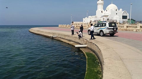 حملة المسح البيئي للساحل الغربي تقف على 344 منشأة وترصد عدة مخالفات