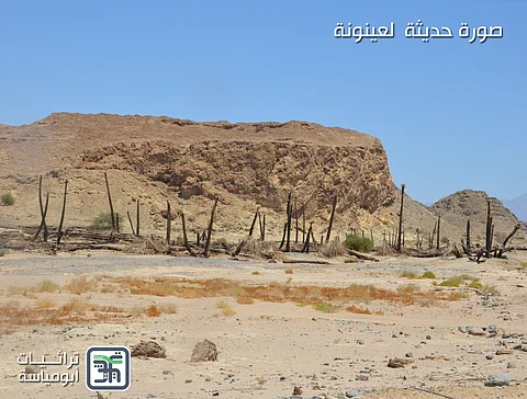 وثيقة في الخمسينيات الميلادية تكشف جمال "عينونة تبوك".. أوز بري ونهر يجري