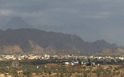 تجاوباً مع الأهالي .. "بلدية سبت الجارة" تتخلّص من الكلاب الضالة