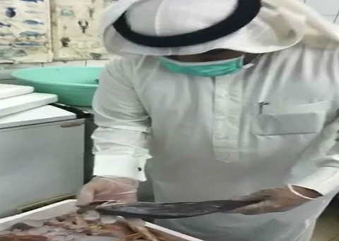 1000 جولة تفتيشية بالجوف تنتهي بإغلاق 14 منشأة ومصادرة مواد غذائية