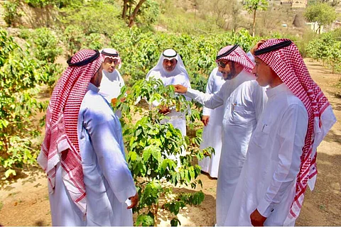 "الأبحاث الزراعية" بجازان يكشف عن الخدمات التي يقدمها للمزارعين