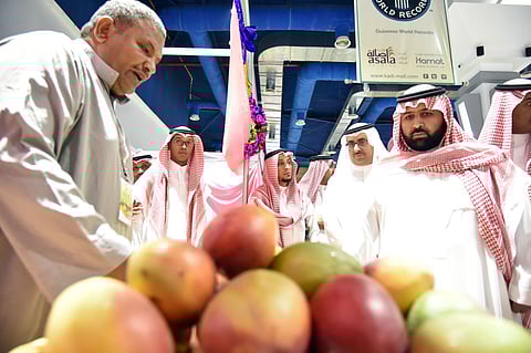 نائب أمير جازان يرعى انطلاق مهرجان "المانجو 13"