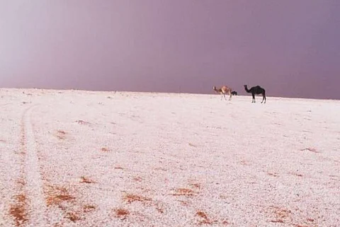 "القريات" تشهد أمطارًا غزيرة ومتوسطة وتساقطًا لحبات البرد