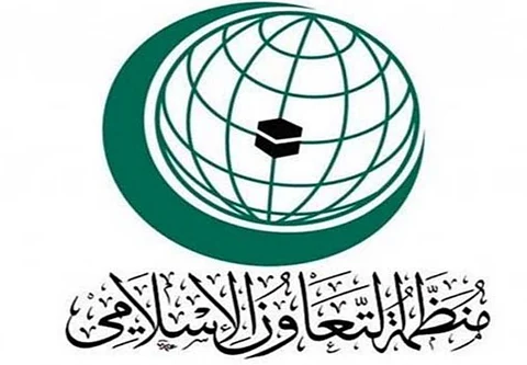عبر "الأمن السيبراني".. "التعاون الإسلامي" تكثف نشاطها ضد الإرهاب