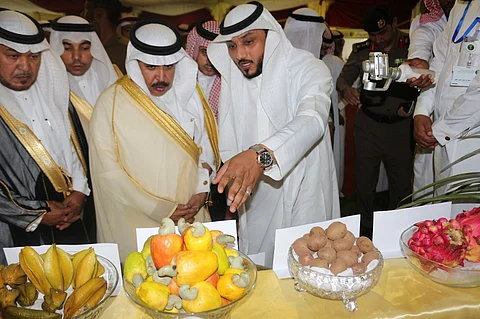 أبحاث جازان الزراعية تشارك بمهرجان المانجو وتعرض تجربتها لمزارعي القنفذة