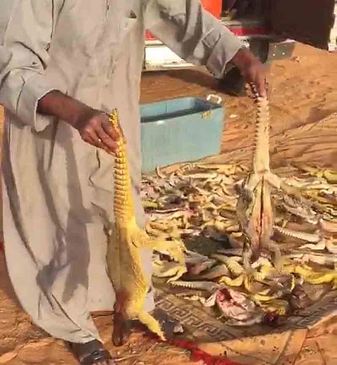 بعد تداوُل مقطع فيديو.. "شرطة القصيم" تطيح بمرتكب مذبحة الضبان