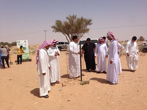 "جريمة حرق أشجار بالأسيد" تتفاعل .. إعادة استزراع المدمَّر وضبط الجاني منتظر