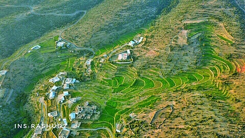 شاهد .. "الأخضر" يكسو مساحات في "بللسمر وبللحمر"