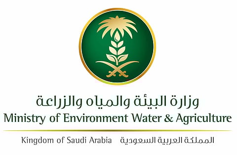 "البيئة" تفرض حظراً على استيراد الخضار والفواكه من ولاية كيرلا بالهند
