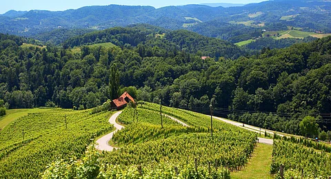 مجلس السياحة السلوفيني يدشن حملة ifeelsLOVEnia الصيفية
