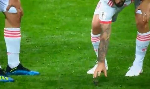 شاهد.. ماذا يفعل هذا الطائر؟ لاعبا إسبانيا ينقذان عصفوراً قبل بدء مباراة إيران