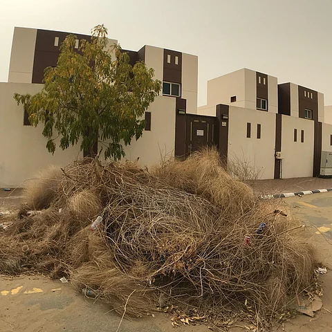 شاهد "إسكان بيش" بعد خيمة تسويق الفلل.. أشجار يابسة ونظافة غائبة!