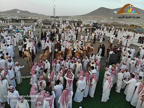 30 يوماً لـ"عيون الصحراء" في "الجبل الأبيض".. هذه تحذيرات من المغامرة بالمفازات