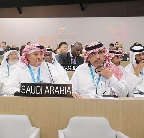 البلوي: تسجيل واحة الأحساء في اليونسكو إنجاز تراثي عالمي جديد للمملكة