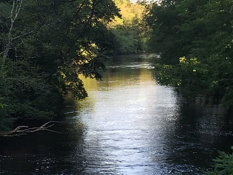 موقف بطولي لمبتعثين سعوديين بأمريكا ينتهي بمأساة مروعة.. حاولا إنقاذ طفلين فتوفيا غرقاً