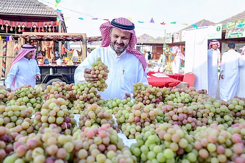 مزارعو العنب في القصيم يترقبون انطلاق "مهرجان الصلبية"