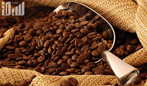الثروة المنسية.. إنتاج جنوب السعودية من البنّ ينافس أهمية النفط