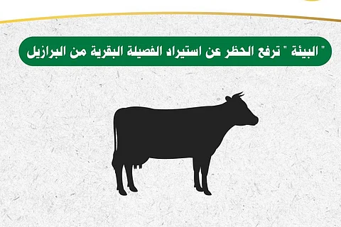 "البيئة" ترفع حظر استيراد "الفصيلة البقرية" من البرازيل