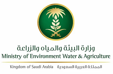 لتأمين طلب "الحج".. "البيئة" تفسح 359 ألف رأس من الماشية