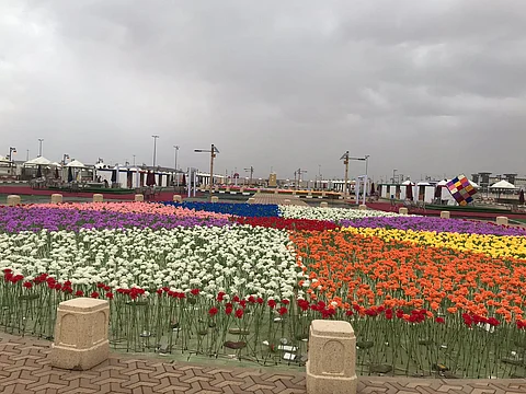 بالصور.. سجادة الزهور المضيئة تأسر قلوب زوار مهرجان صيف بدر الجنوب