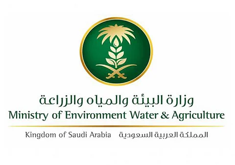 "البيئة "تعيد حمولة على متنها 27 ألف رأس غنم مستوردة من الصومال