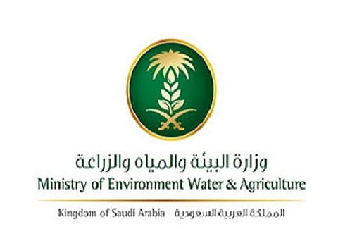 "البيئة" تحظر مؤقتاً استيراد حيوانات الفصيلة الخيلية من الصين