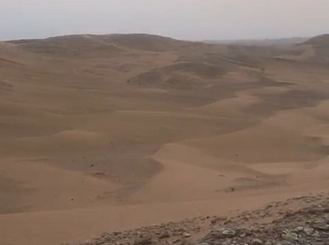 بطائرتين شراعيتين و 10 سيارات.. "عيون الصحراء" تشارك في البحث عن "مفقود الرياض"