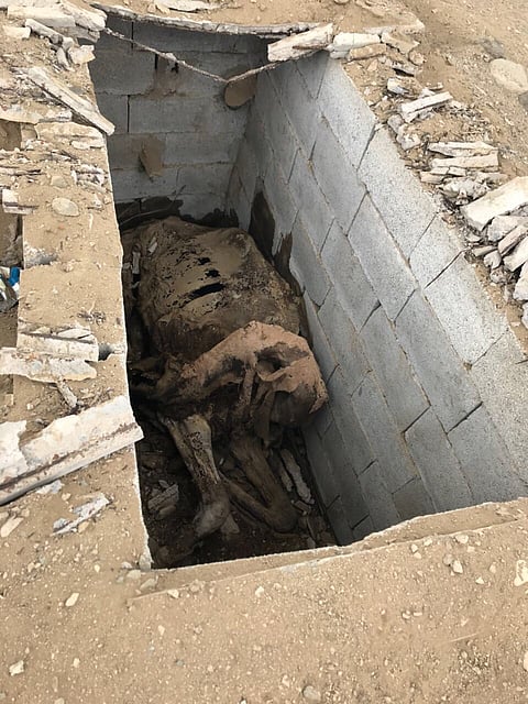 الليث.. إزالة الأحواش العشوائية بمقبرة الصانع وتنظيف "قبر الجمل" وطمره