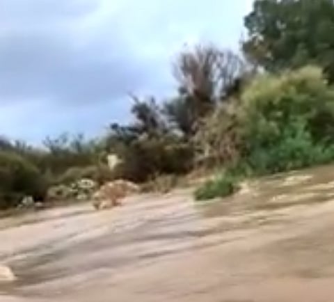 أمطار غزيرة على محافظة الطائف وانقطاع التيار بأحد أحيائها