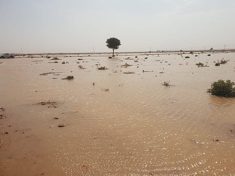 من الفجر إلى الصباح.. أمطار على محافظات شمال الرياض تسيل الأودية "صور"