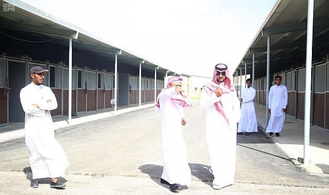 رئيس اتحاد الفروسية يتفقَّد استعدادات مركز الدهامي لاستضافة بطولة المملكة لقفز الحواجز