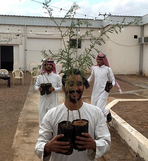 "بيد سلمان نزرع".. مبادرة "البعائث" لزراعة ألف شتلة