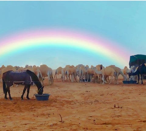 صورة وثّقها مواطن.. "قوس قزح" يزين سماء رفحاء بعد الأمطار الغزيرة والبرد