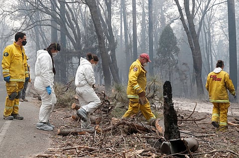 فرق الإنقاذ تبحث عن ألف مفقود في أسوأ حريق غابات بكاليفورنيا