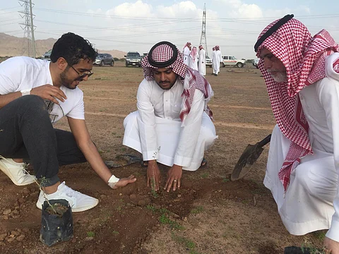 8 جهات حكومية وتطوعية تشارك في "حملة تشجير الوادي الأخضر" بالمدينة