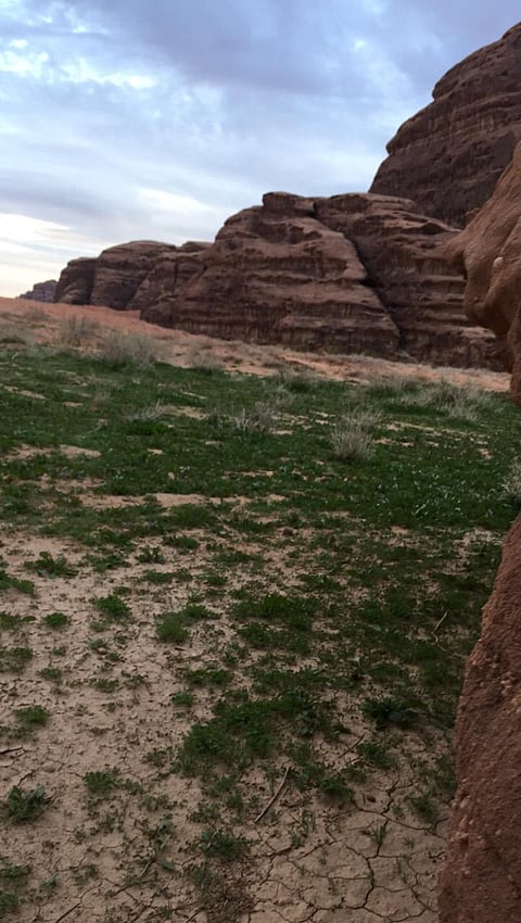 الأجواء الربيعية تزيّن وادي ضم في تبوك