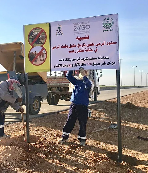 "بلدية تمير" تنبّه أصحاب المواشي بوقف الرعي مؤقتاً بمنتزه خزة